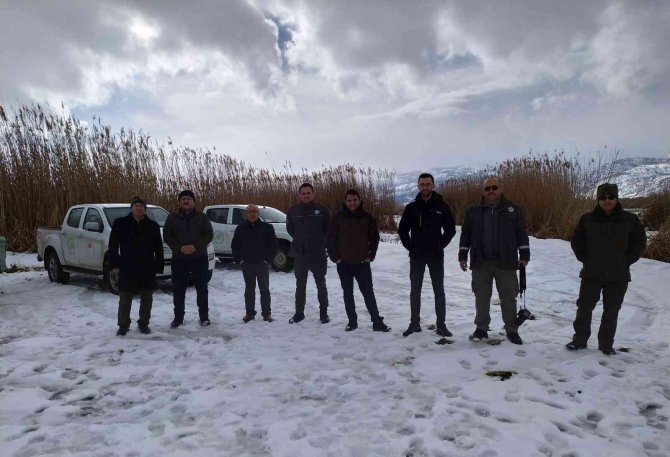 Eber Gölü’nde Kuş Gözlemi Yapılıp, Yem Bırakıldı