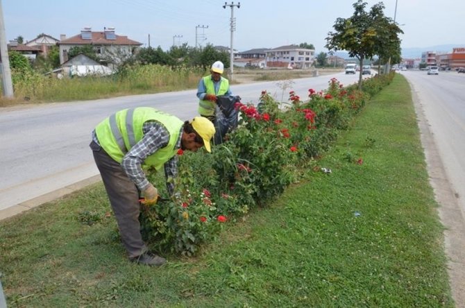 Binlerce Çiçek Toprakla Buluştu