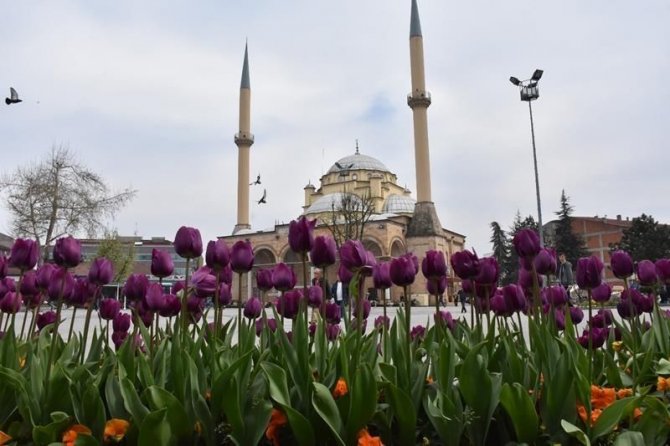 Binlerce Çiçek Toprakla Buluştu