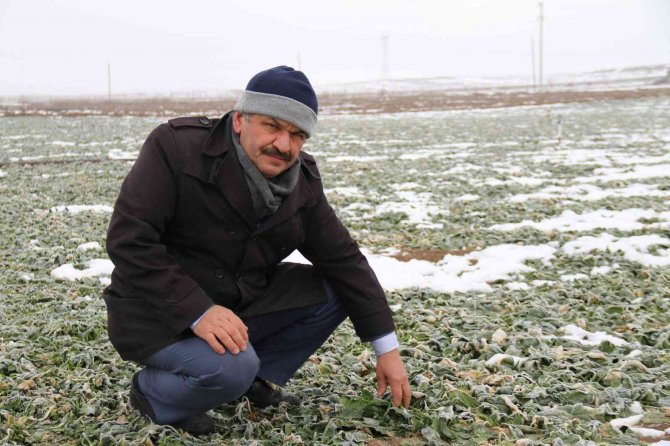 Çiftçinin Toprağı Dondu Ürünlerin Fiyatı Arttı
