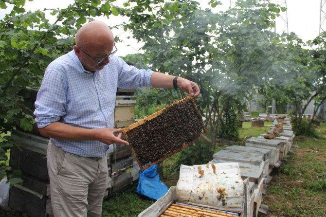 Kar Yağışı Arıcıları Umutlandırdı