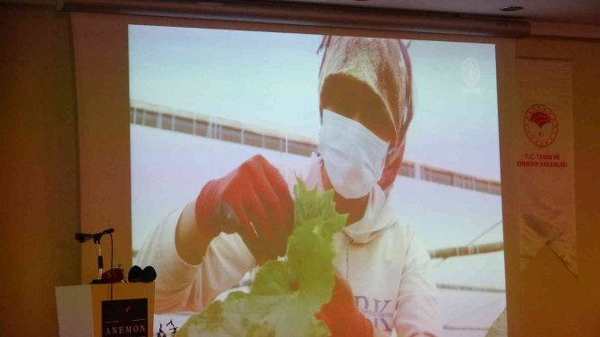 Hatay’da İ̇stihdam Fuarı