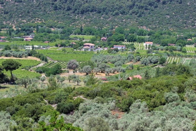 Ekodosd’tan Kirazlı İçin Çağrı