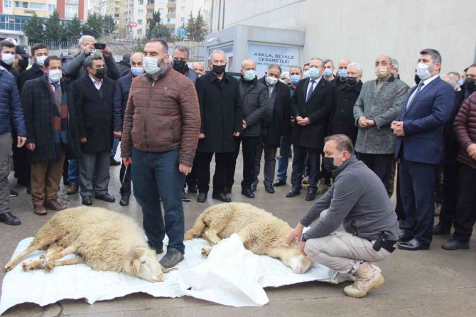 Kartal İ̇lçe Emniyet Müdürlüğüne Kazandırılan Yeni Araçlar İçin Koç Kesildi