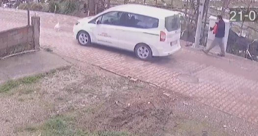 Yolda Yürüyen Kediyi Aracıyla Ezdi, Arkasına Bile Bakmadı
