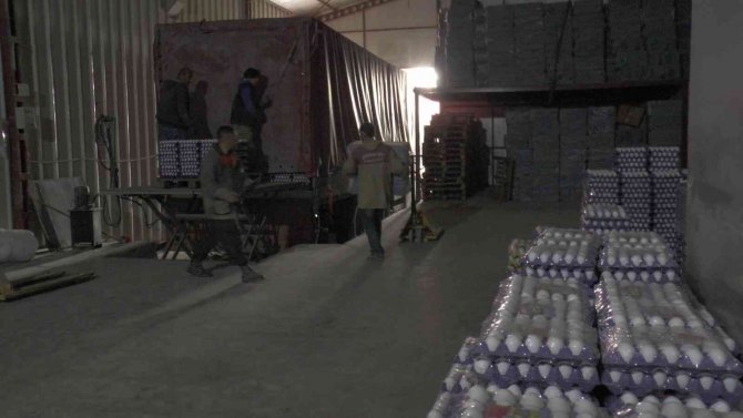 Tavuklara ’Halk Müziği’ Dopingi