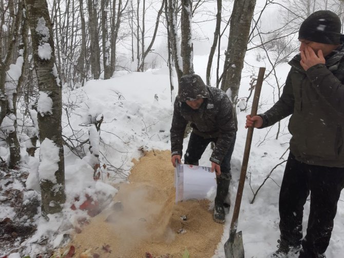 Ordu’da Yaban Hayvanları İçin Doğaya 5 Bin 800 Kilogram Yem Bırakıldı