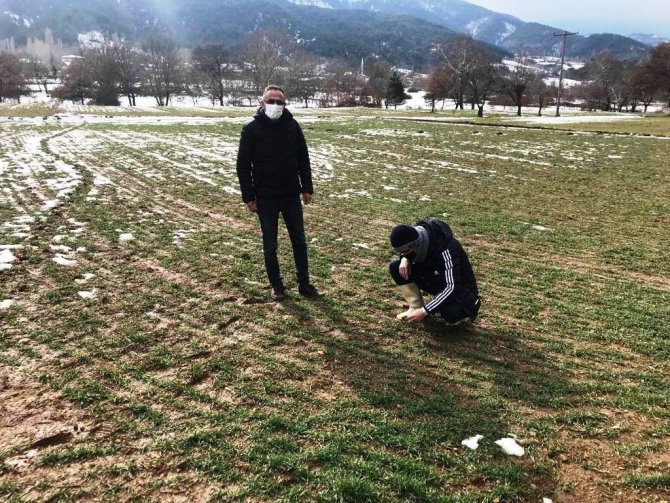Simav’da Hububat Ekili Alalarda Fonolojik Gözlem Çalışması