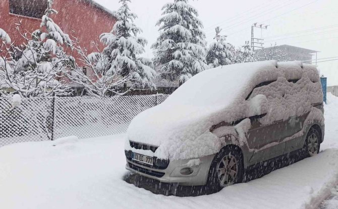 Ahlat’ta Yoğun Kar Yağışı
