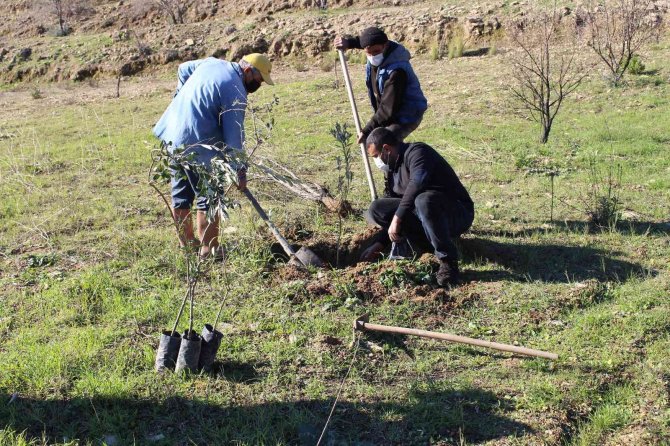 Antalya Büyükşehir Belediyesi’nden Fidan Desteği