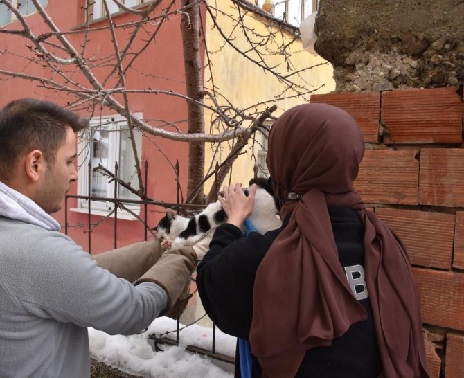 Korkuluğa Saplanan Kediyi Belediye Ekipleri Kurtardı
