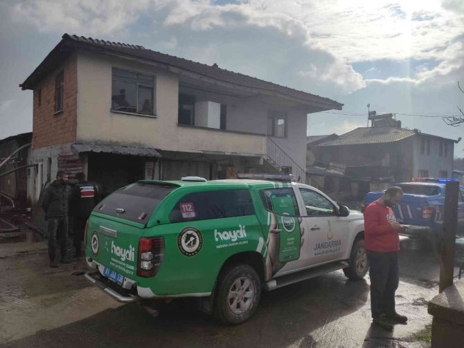 Jandarmadan Tavuk Çiftliklerine Denetim