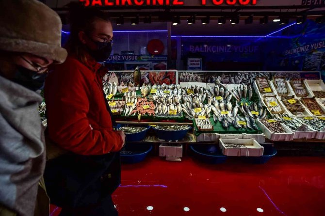 Tezgahlarda Hamsi Bolluğu Yaşanıyor