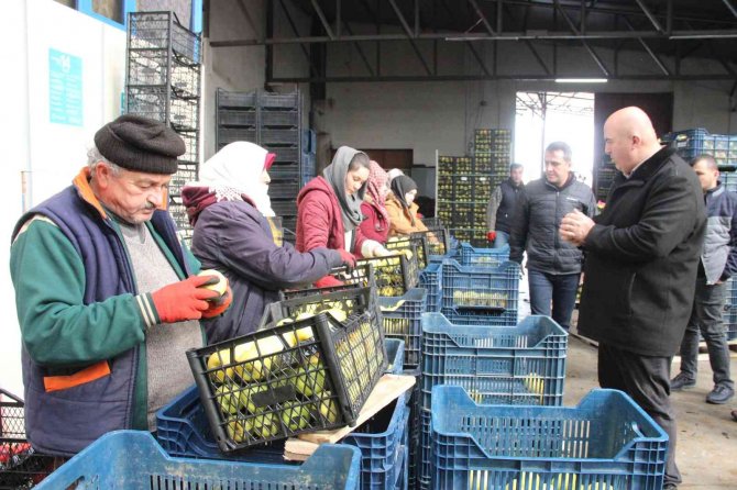 Karaman’dan Libya’ya Elma İhracatı Arttı