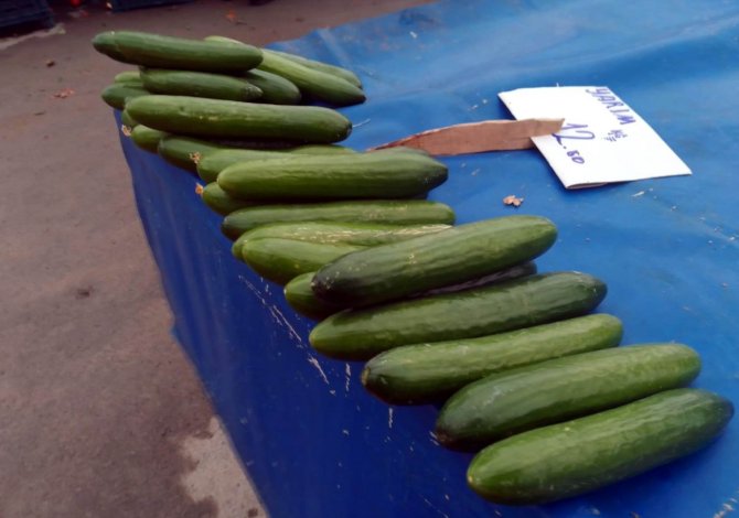 Pazarda Haftanın Zam Şampiyonu ‘Salatalık’ Oldu