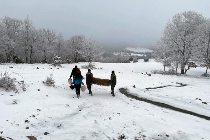 Orman Ekipleri Yaban Hayvanlarının Yanında