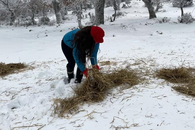 Orman Ekipleri Yaban Hayvanlarının Yanında