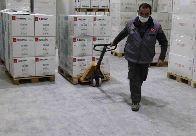 Bakan Koca Duyurmuştu, Yeni Seri Turkovac Aşılarının Dağıtımı Başladı