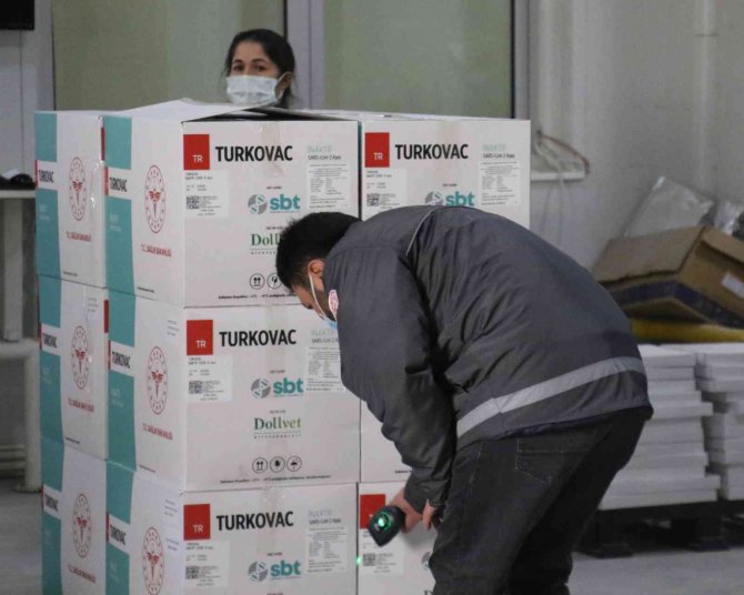 Bakan Koca Duyurmuştu, Yeni Seri Turkovac Aşılarının Dağıtımı Başladı
