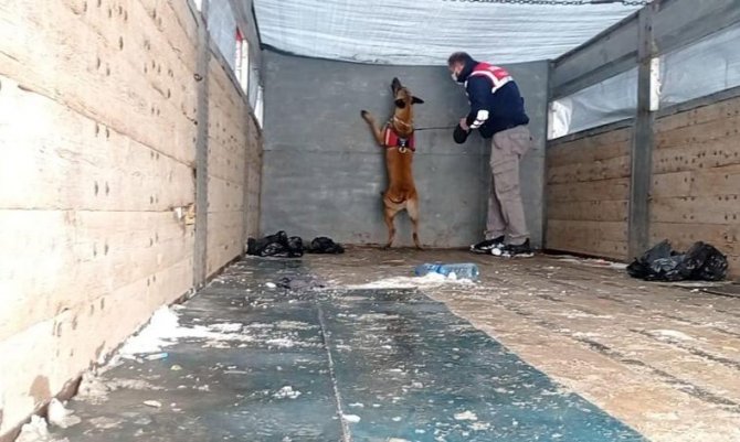 Van’da 62 Düzensiz Göçmen Yakalandı