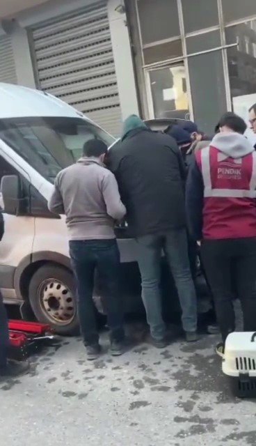 Araç Motorunda Mahsur Kalan Kediyi İtfaiye Kurtardı