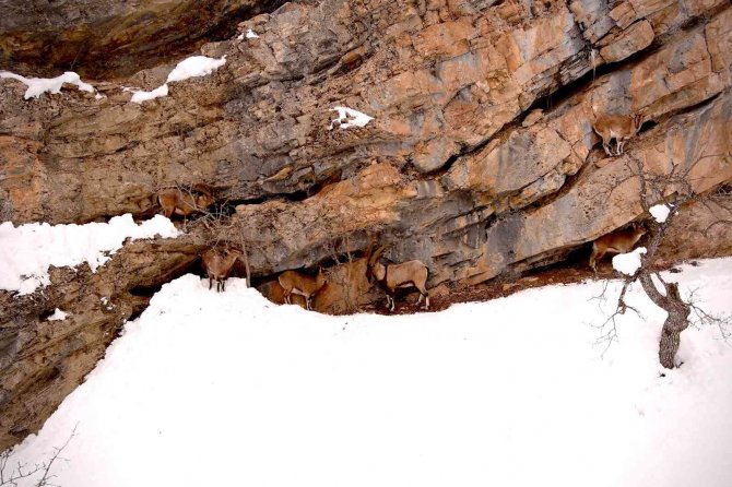 Erzincan’da Kartpostallık Kış Fotoğrafları