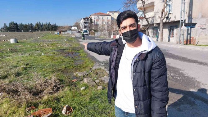 Avcılar’da 3 Köpeğin Zehirlendiği İddiası