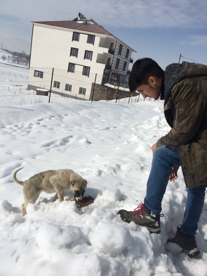 Bingöl’de Gönüllüler Doğaya Yem Bıraktı