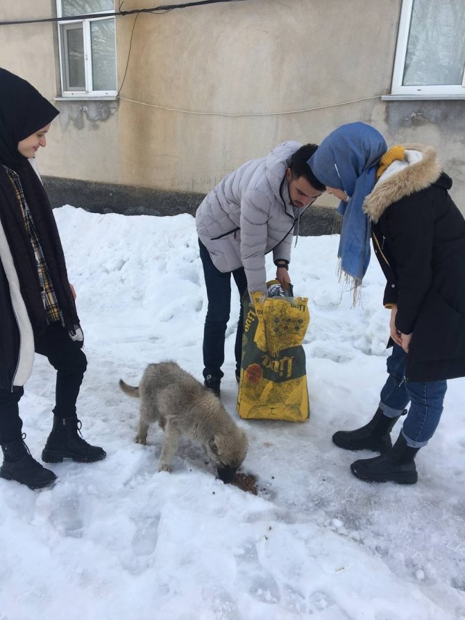 Bingöl’de Gönüllüler Doğaya Yem Bıraktı