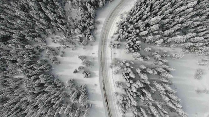 Kar Kalınlığının 1,5 Metreyi Aştığı Ilgaz Dağı Görenleri Mest Ediyor