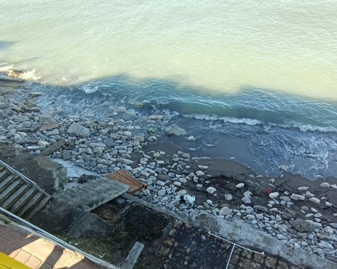 Karadeniz’den Hamsi Yerine Büyükbaş Hayvan Çıktı