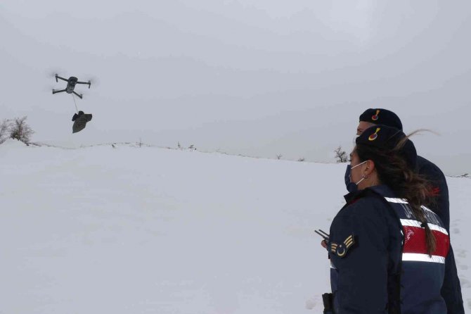 Tipi Yolu Kapattı, Jandarma Ekipleri Hastaya İlacını Drone İle Ulaştırdı