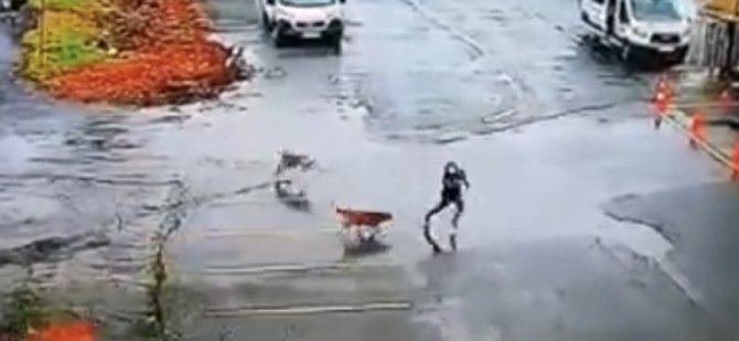 Gaziosmanpaşa’da Başıboş Köpekler Korku Saçıyor