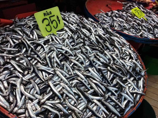 Bandırma Balık Halinde Hamsi Bolluğu Yaşanıyor