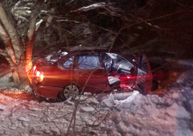 Takla Atan Otomobil Ağaca Çarparak Durabildi: 2 Yaralı
