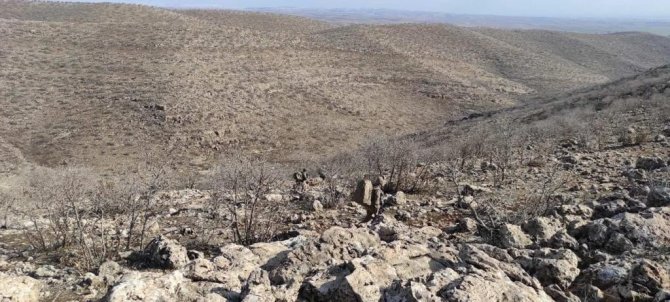 İ̇çişleri Bakanlığınca Mardin’de Eren Kış-20 Operasyonu Başlatıldı