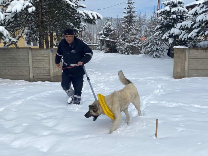 Boynuna Çöp Kutusu Kapağı Takılan Köpeği Belediye Personeli Kurtardı