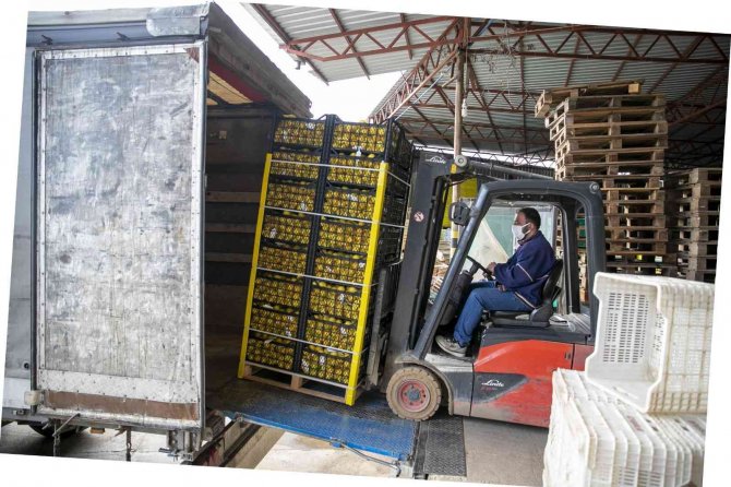 Mersin’den 4 Büyük Şehre Limon Gönderildi