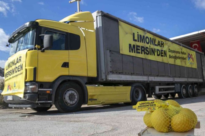 Mersin’den 4 Büyük Şehre Limon Gönderildi