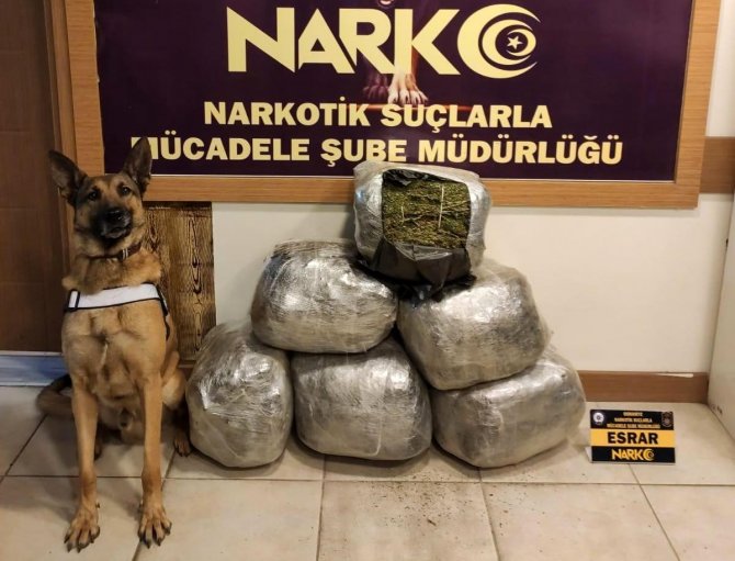 Osmaniye’de Uyuşturucuyla Yakalanan Kamyon Şoförü Tutuklandı