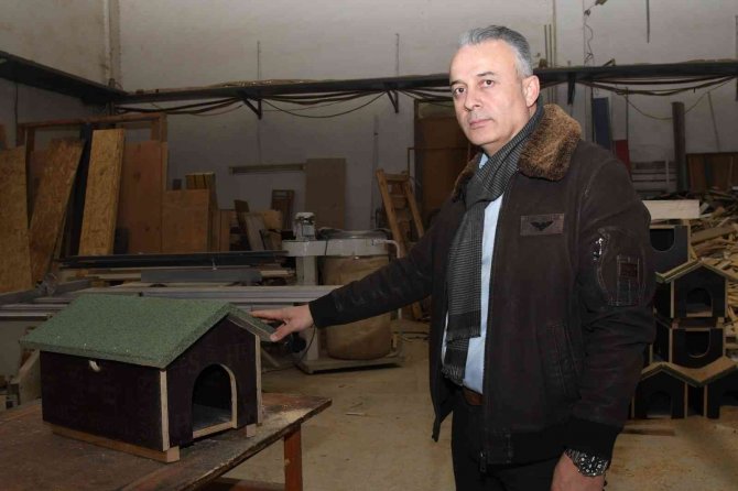 Atıklar Ahşaplar Sokak Hayvanlarına Yuva Oldu