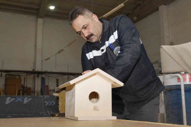 Atıklar Ahşaplar Sokak Hayvanlarına Yuva Oldu