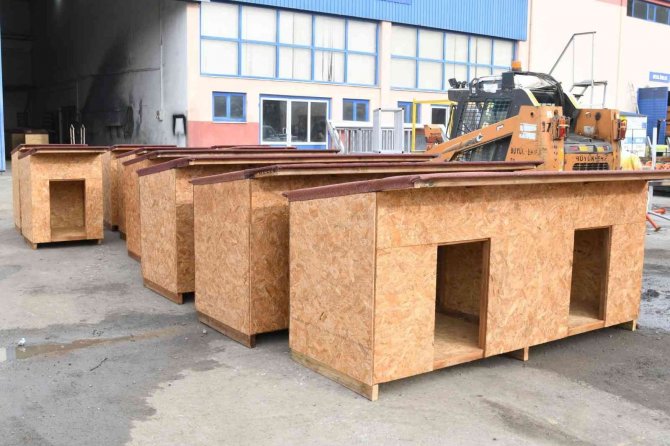 Atıklar Ahşaplar Sokak Hayvanlarına Yuva Oldu