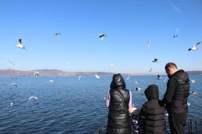Sapanca Gölü’nden Sevindiren Haber