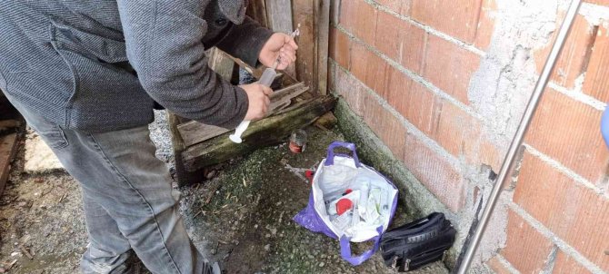 Nesli Tükendi Sanılan Yaban Kedisi Zonguldak’da Görüldü