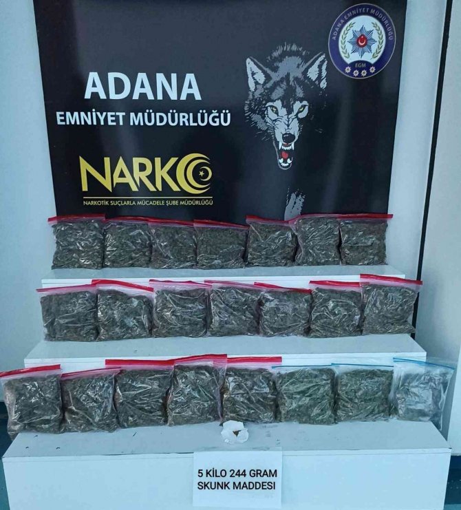 Kahve Ve Yağ İle Korunan Skunk Narkotik Köpeğinden Geçemedi