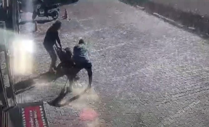 Antalya’da Yasaklı Cins Sokak Köpeği, Genç Kadın Ve Köpeğine Dehşeti Yaşattı