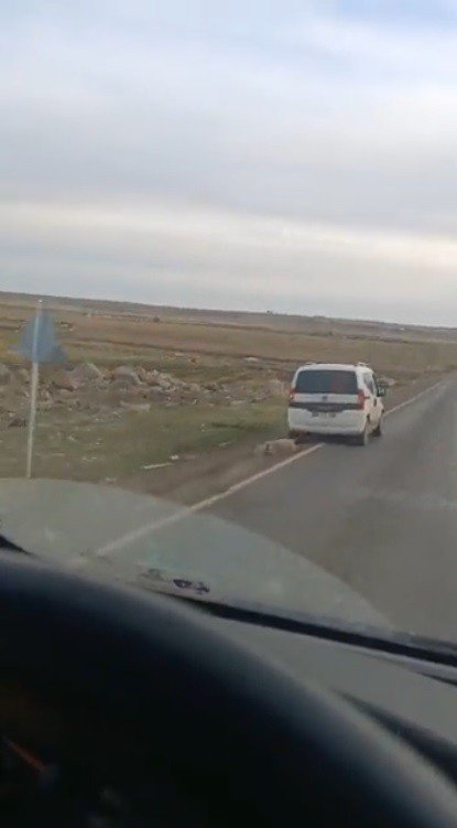Aracın Arkasına Bağladıkları Koyunu Sürükleyerek Götürdüler
