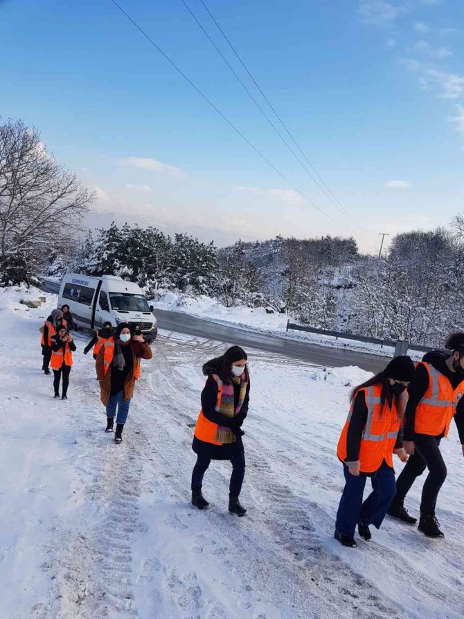 Btü Öğrencileri Sokak Hayvanlarını Unutmadı