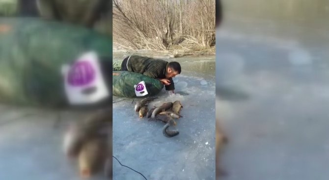 Buz Altından Elle Balık Çıkarıyor